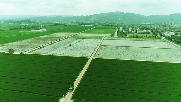 打造高尺度农田建设古林样板 夯实孝感现代...