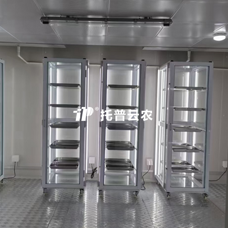 种子抽芽室/