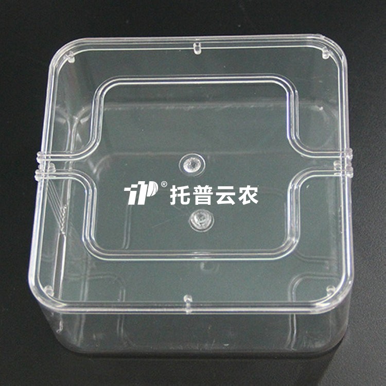 种子抽芽盒12*12，13*19