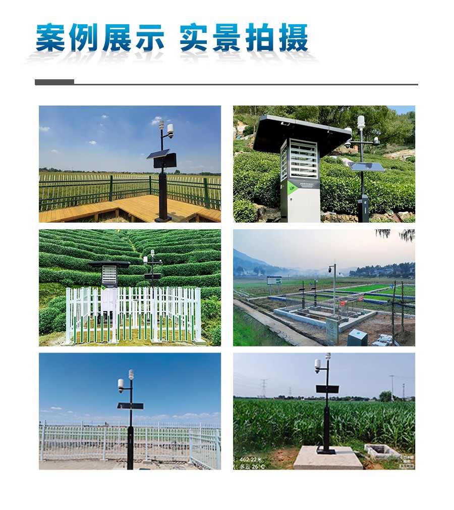 幼型自动形象站 幼型自动形象站