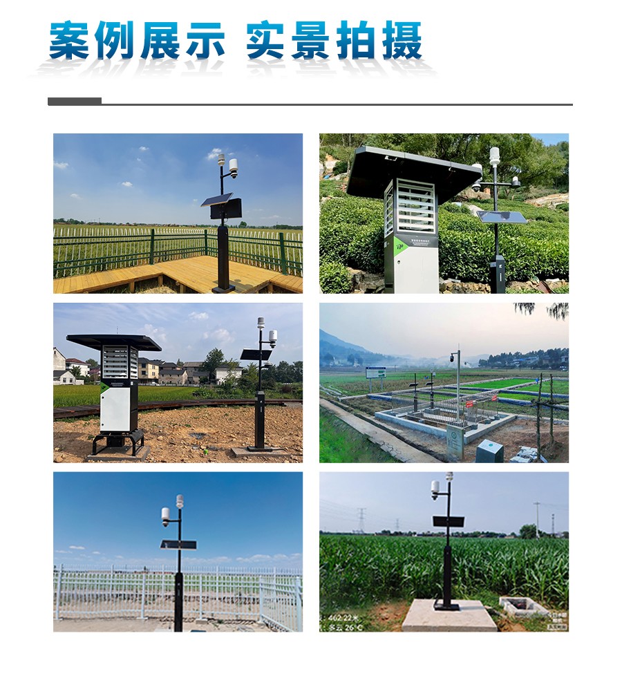 田间形象站