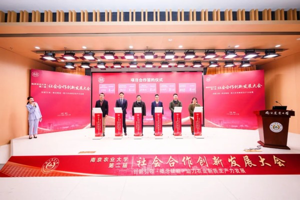 图7.jpg