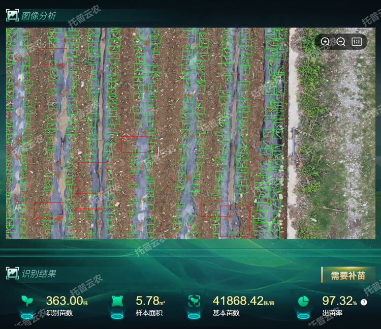 出，苗率.png